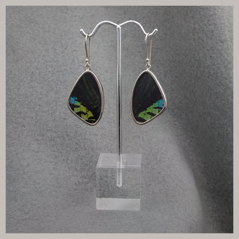 Butterfly Wing Earrings