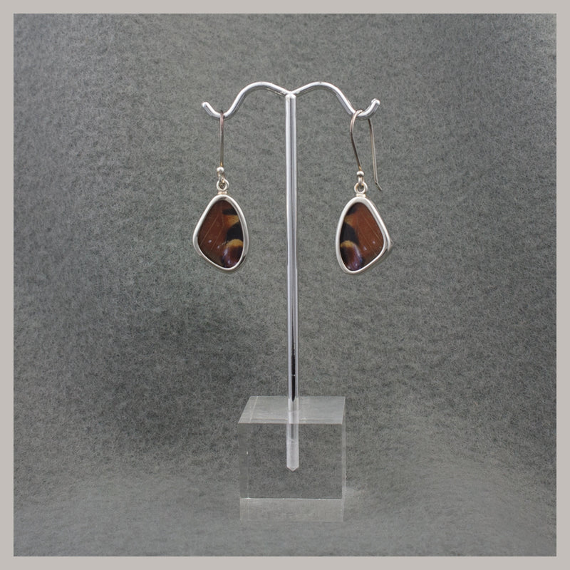 Butterfly Wing Earrings