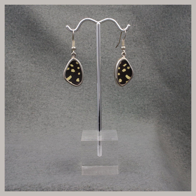 Butterfly Wing Earrings