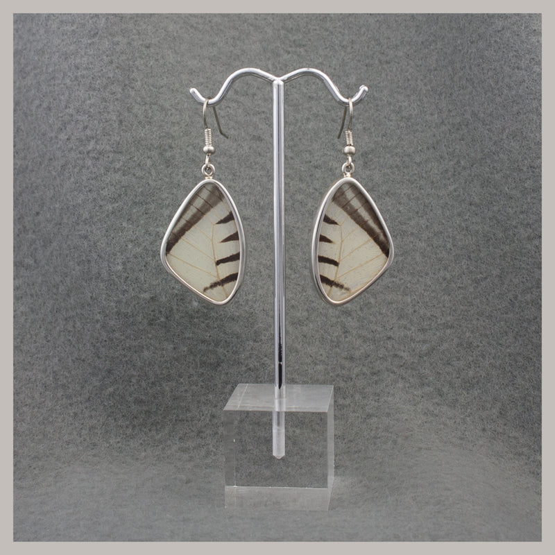 Butterfly Wing Earrings