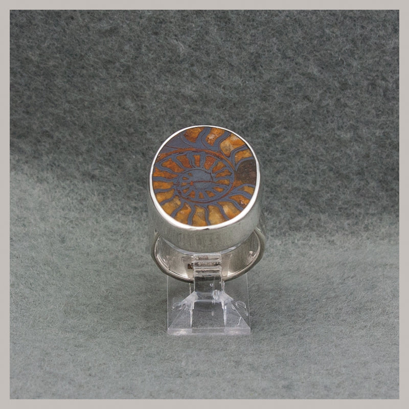 Ammonite Ring