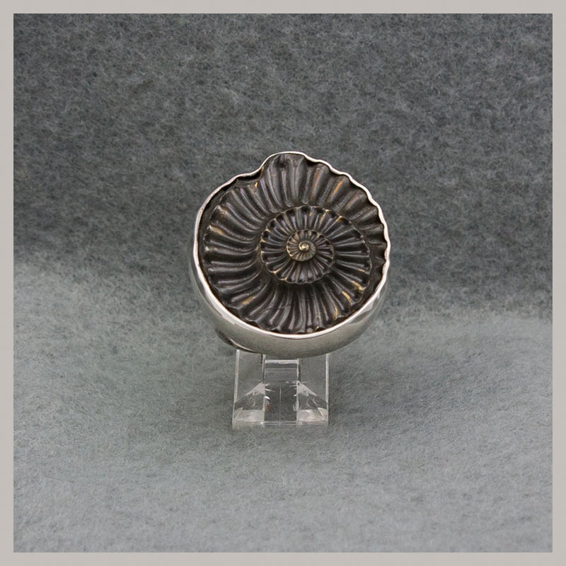 Ammonite Ring - Reversed Impression