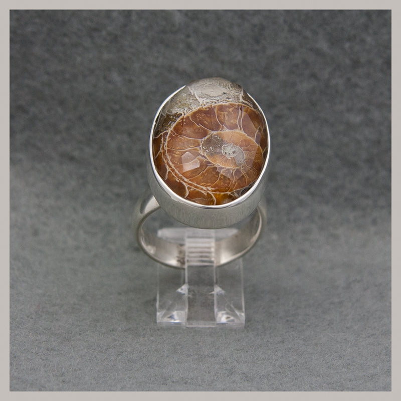 Ammonite / Quartz Doublet Ring